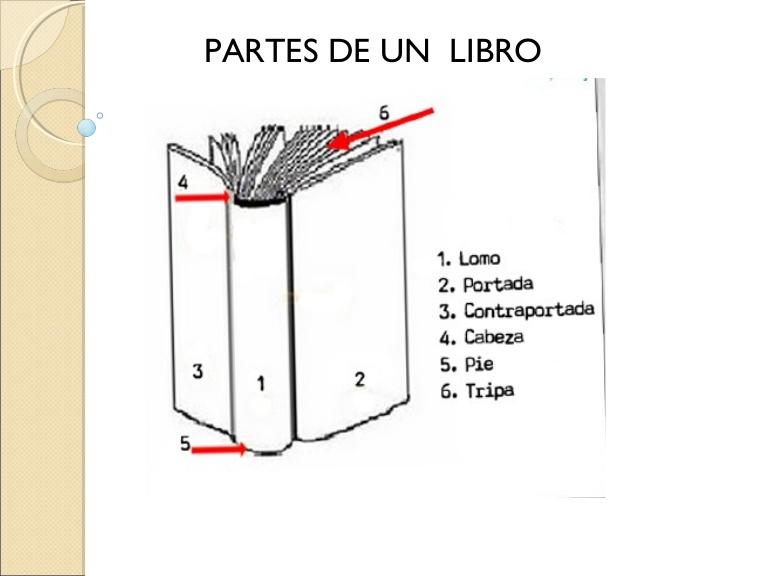 guia completa para conocer partes esenciales de un libro de secundaria