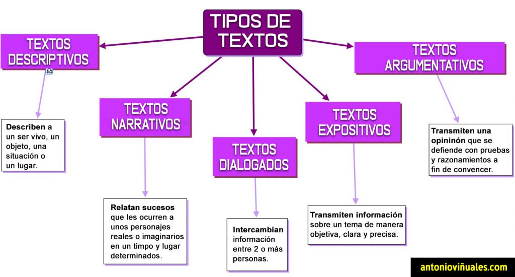 guia esencial estructura y tipos de textos descubre las clases mas importantes