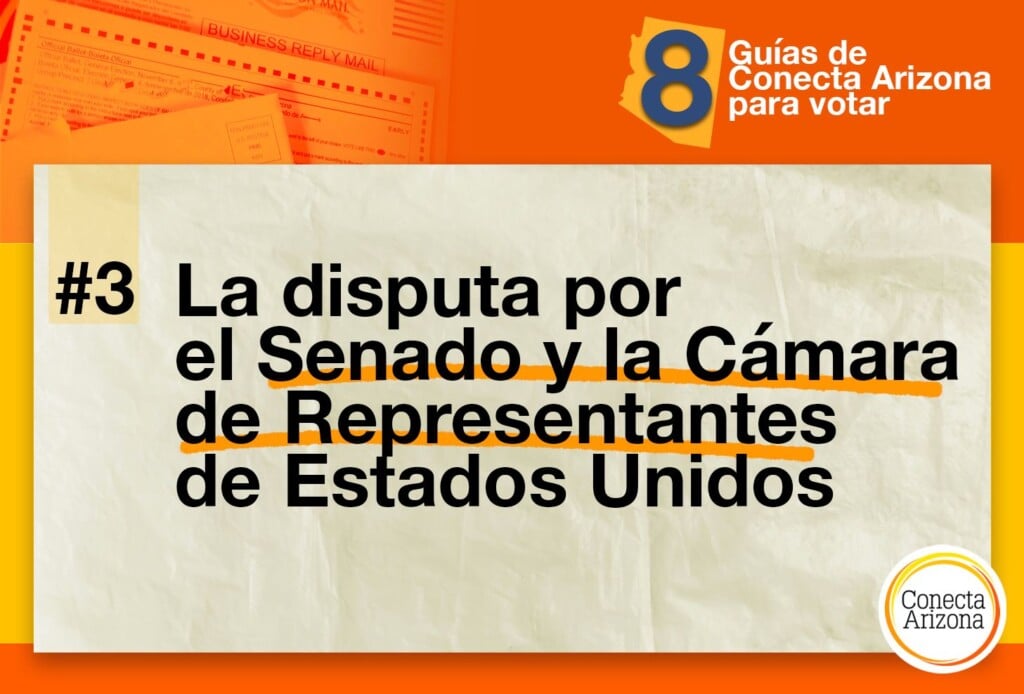 guia paso a paso para crear un jardin electoral en la nueva escuela