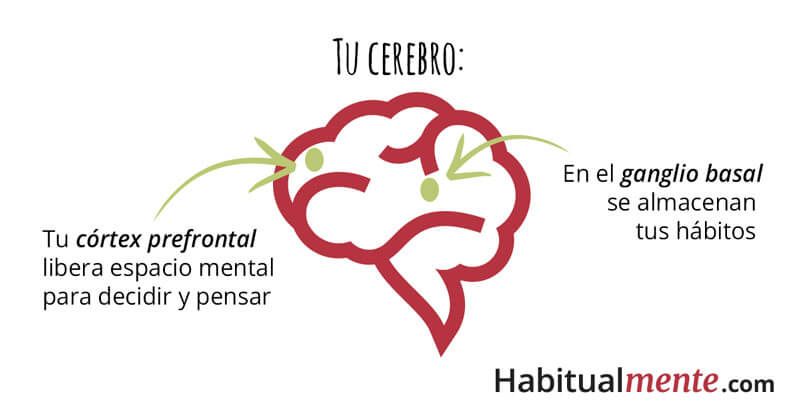 habitos concepto formacion tipos ejemplos y vicios 3