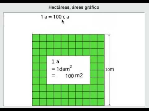 hectareas cuanto mide una hectarea y su definicion