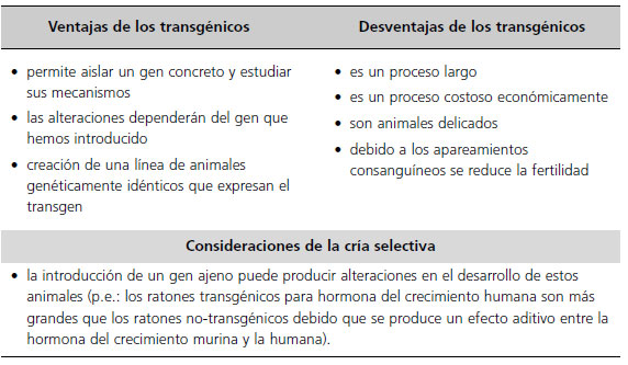 hibrido definicion ventajas y desventajas