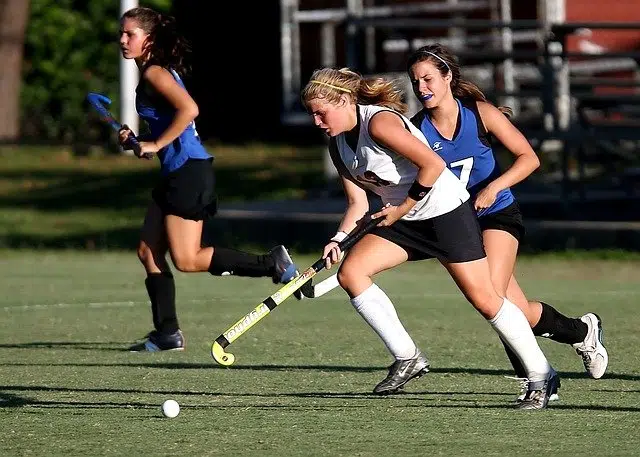 hockey definicion caracteristicas y concepto esenciales