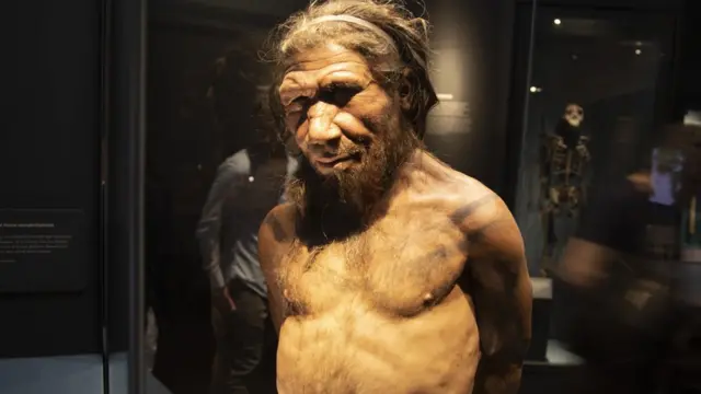 hombre de neandertal cultura caracteristicas y mas 2