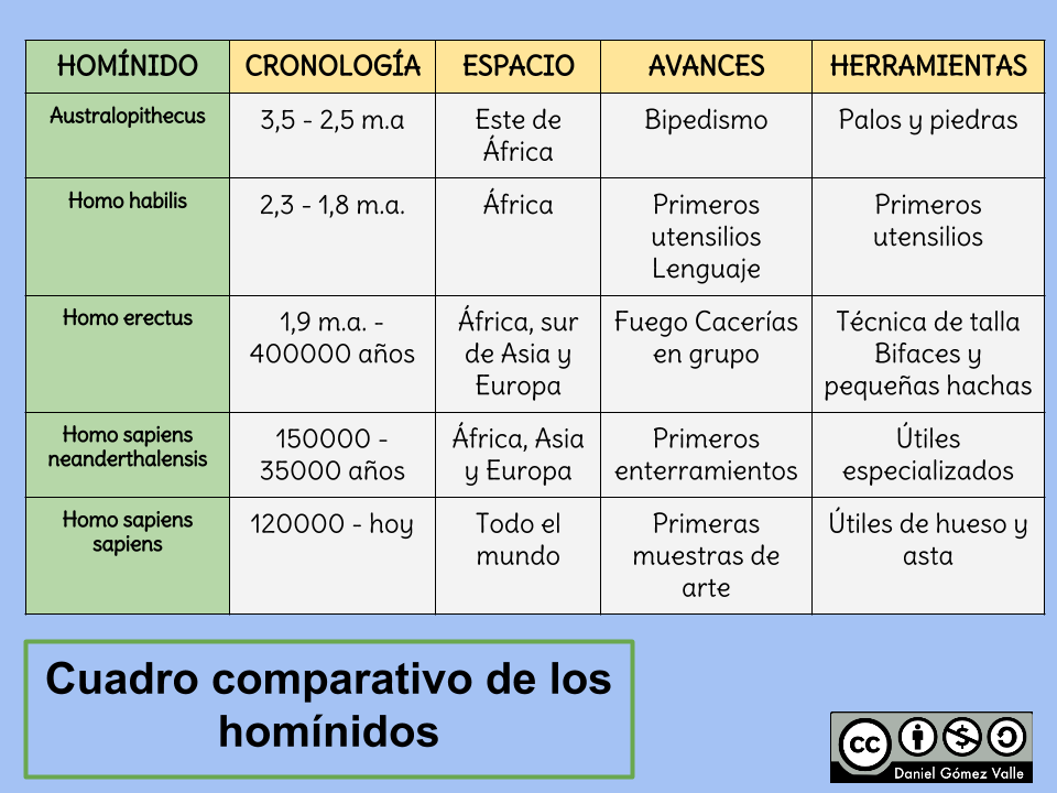 hominidos clasificacion caracteristicas y ejemplos clave