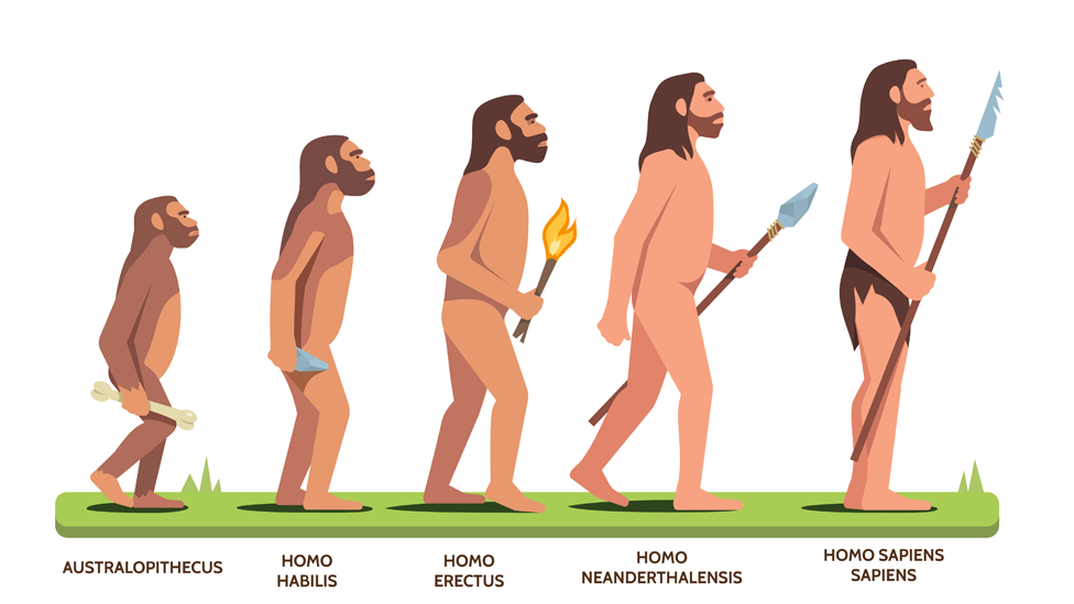 homo sapiens surgimiento evolucion y caracteristicas clave