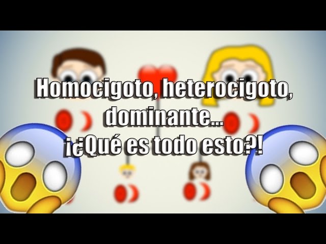 Homocigoto: qué es, definición y concepto explicado 2 homocigoto que es definicion y concepto