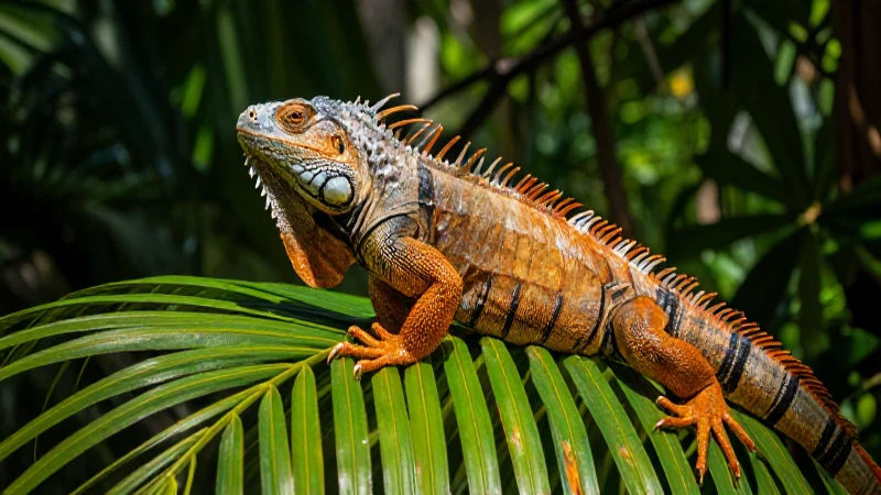 Iguana detallada en selva tropical vibrante
