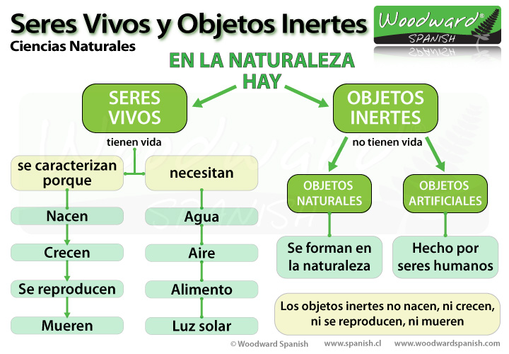 inerte significado definicion y concepto explicado 1
