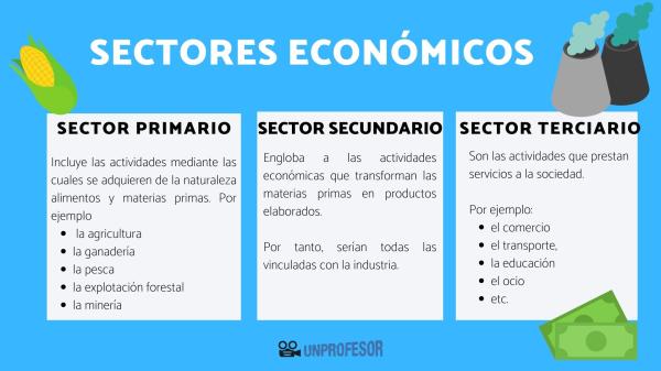 informacion y clasificacion de sectores economicos ejemplos 1