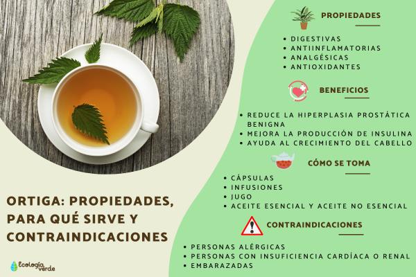 infusion definicion usos y propiedades esenciales 1