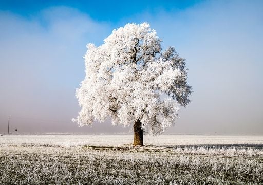 invierno concepto caracteristicas importancia y mas