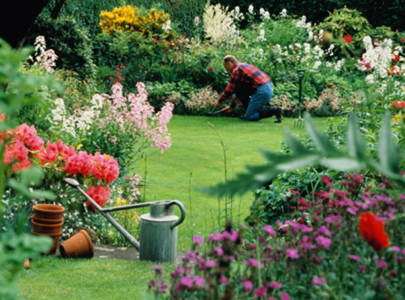 jardineria que es surgimiento definicion y concepto 1