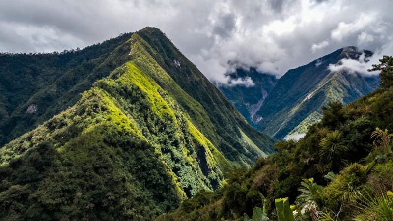 Las sierras son cruciales para el ecosistema