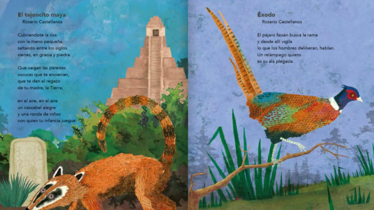 la historia encantadora del tejoncito maya en su lengua nativa