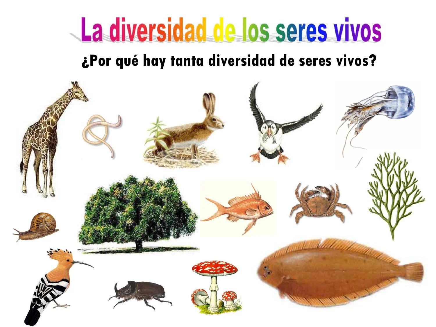 la unidad de todos los seres vivos un vinculo esencial para la vida