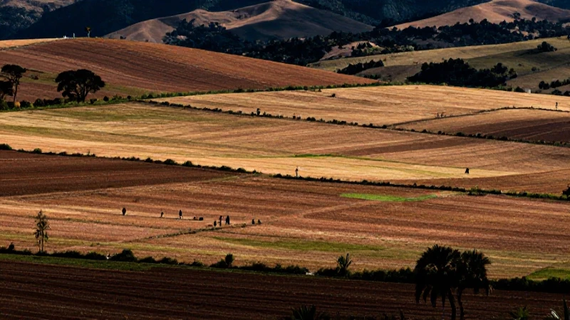 Trabajadores en vasto paisaje rural mexicano