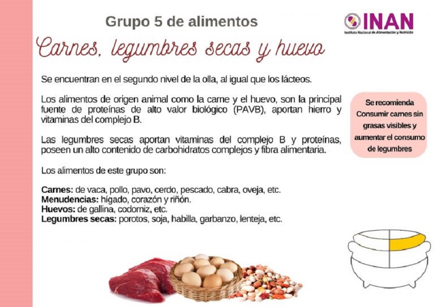 Leguminosas vs Alimentos de Origen Animal: Beneficios Clave 2 leguminosas vs alimentos de origen animal beneficios clave 1