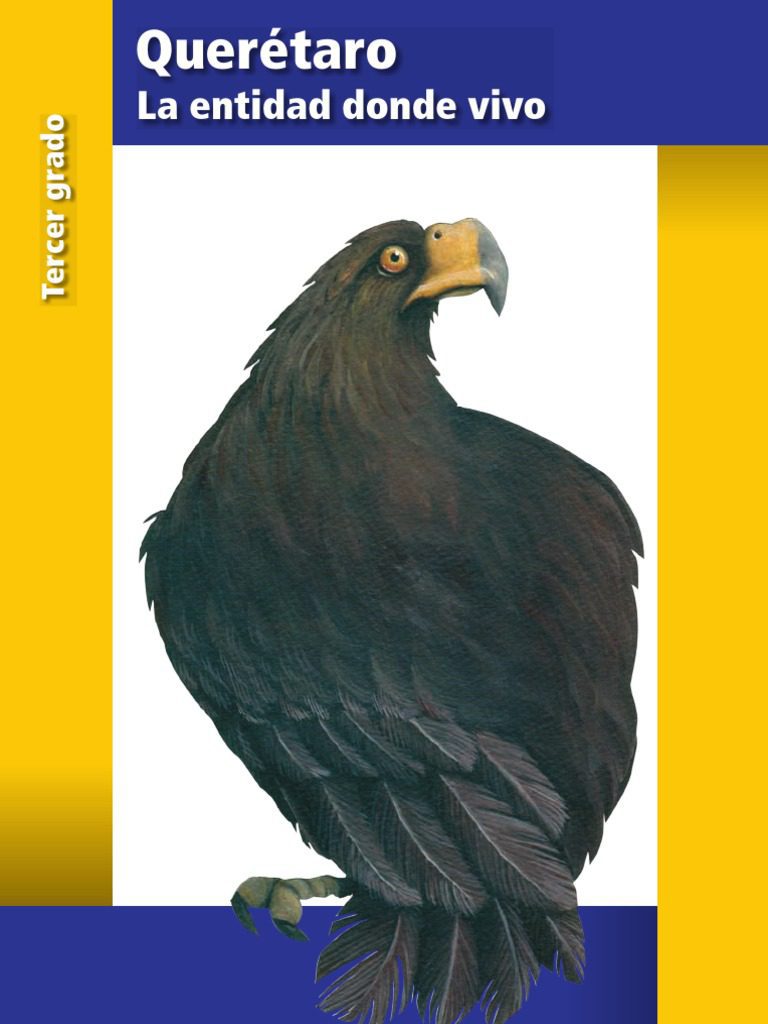 libro queretaro sep 3 grado aprendizaje completo para tus hijos