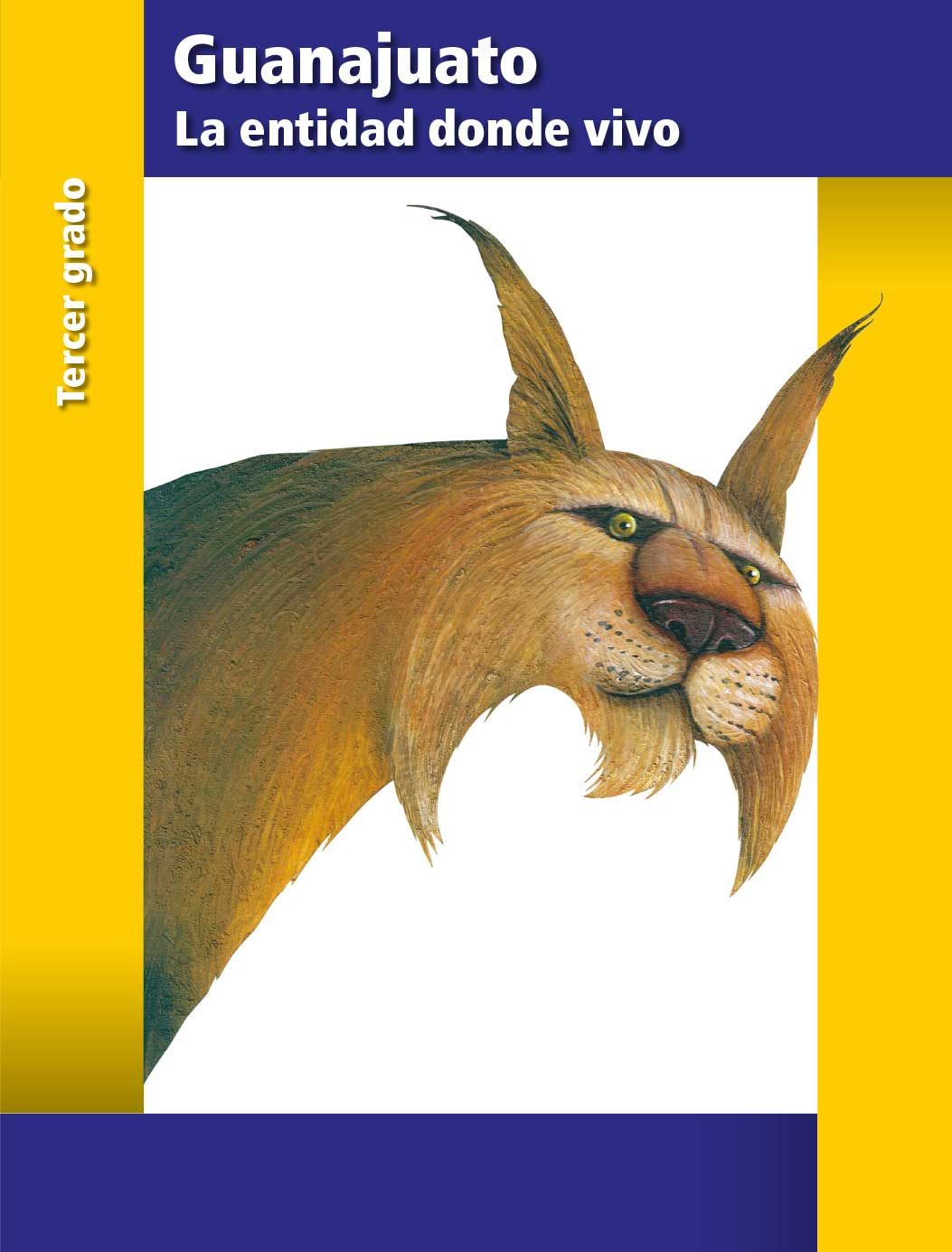libros de tercer grado de primaria en tu entidad descubre los mejores con conaliteg