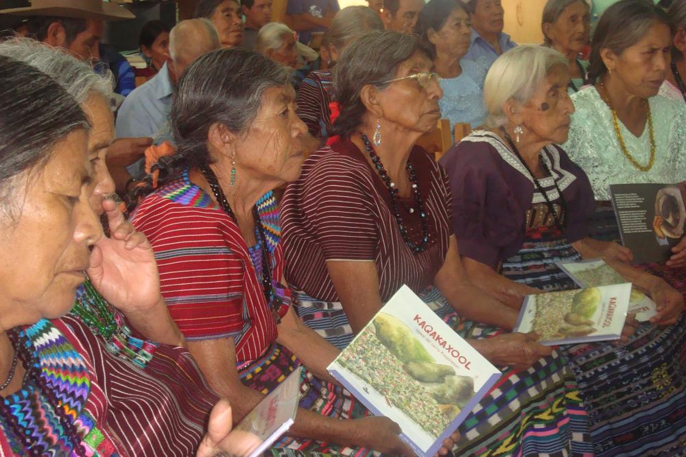 libros de texto en honduras encuentra la mejor seleccion educativa