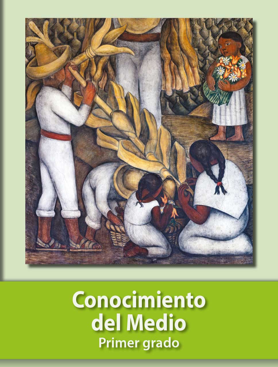 los mejores libros de conaliteg para conocimiento del medio en 2o grado