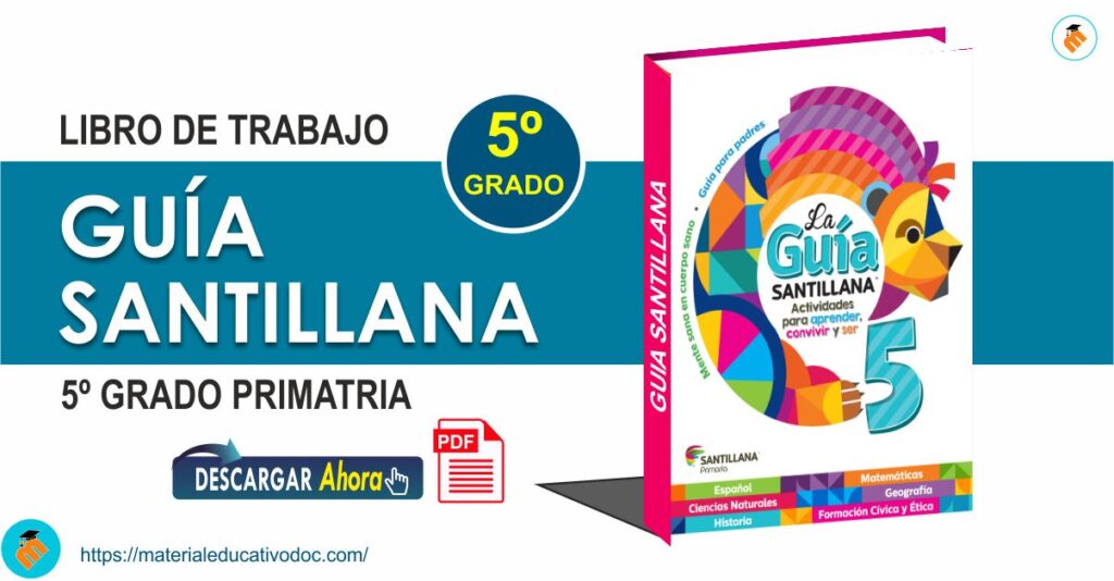los mejores libros sep para 5o grado 2023 guia completa
