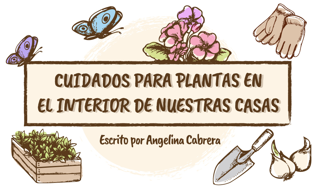 Mantén tus plantas saludables con los mejores consejos de cuidado 2 manten tus plantas saludables con los mejores consejos de cuidado