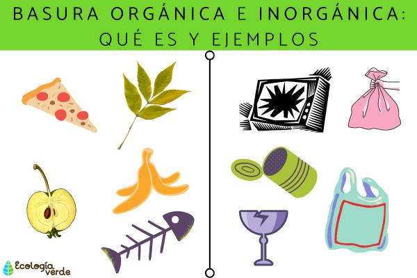material inorganico y 15 ejemplos de materias organicas 3