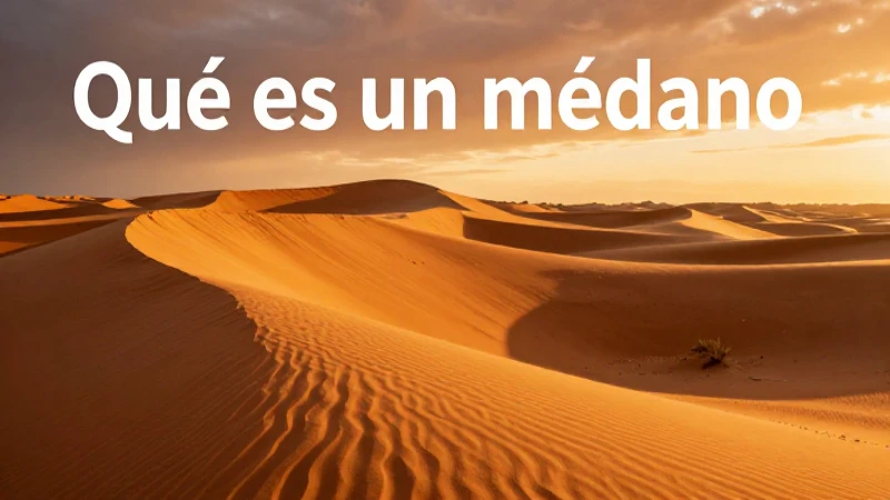 Conceptos y características de los médanos
