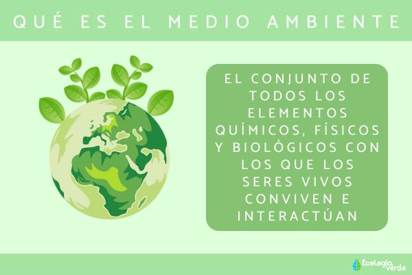 medio ambiente caracteristicas y su impacto en la tierra