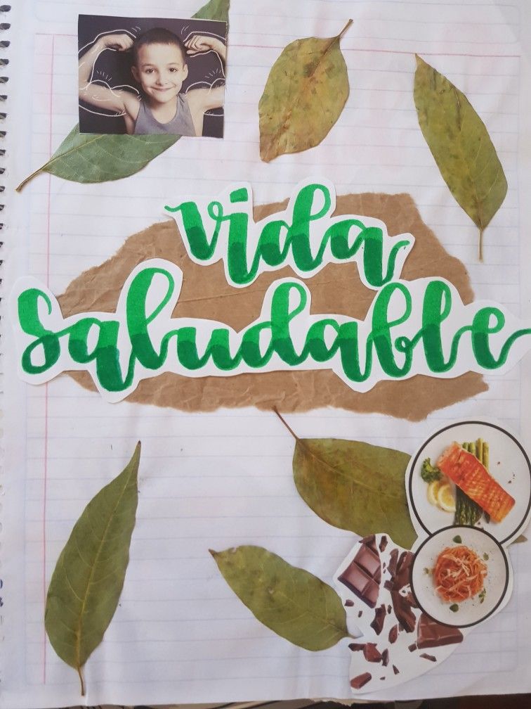 mejora tu estilo de vida con exito las conoce portadas de vida saludable