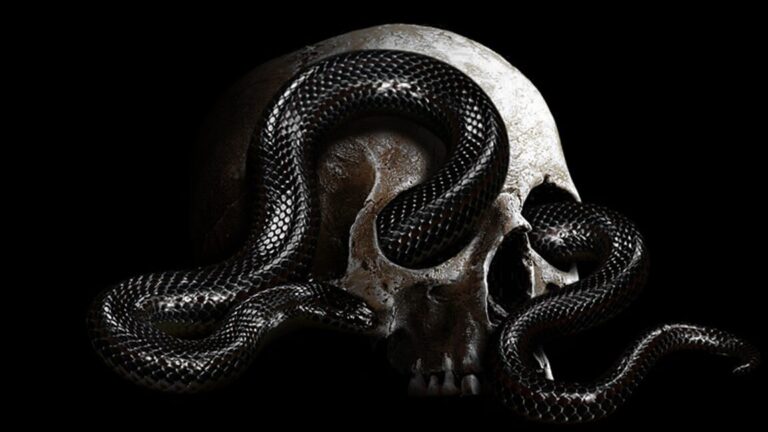 memento mori concepto arquetipos historia y actualidad 1