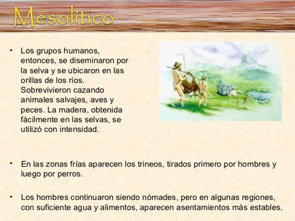 mesolitico definicion concepto y su importancia historica 4