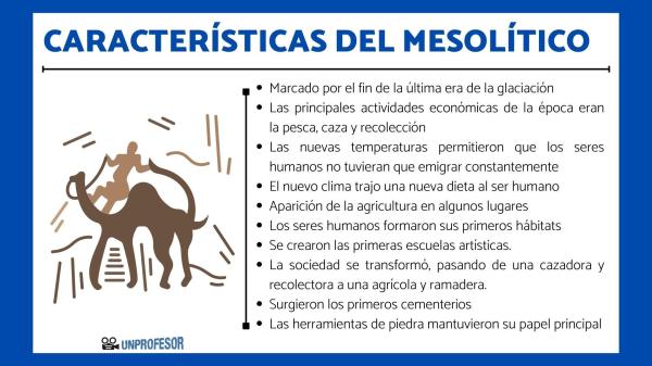 Mesolítico: Resumen, Importancia, Cambios y Características 2 mesolitico resumen importancia cambios y caracteristicas