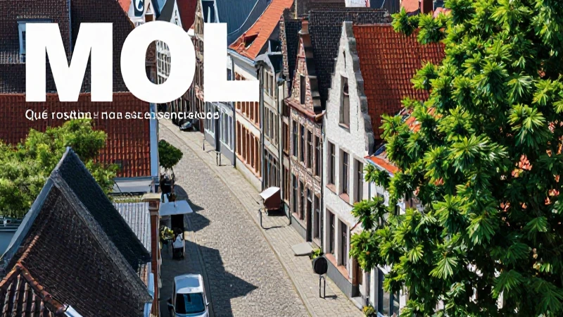 MOL: Qué es, definición y concepto esenciales explicados 6 Mol, Bélgica: Un municipio histórico