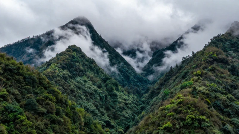 Montañas: Clima, formación y vegetación