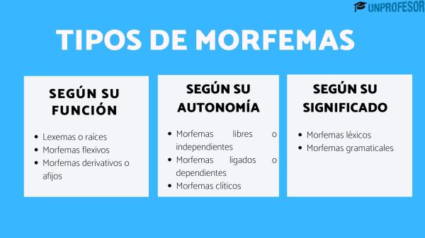 morfemas definicion clasificacion y conceptos clave 3