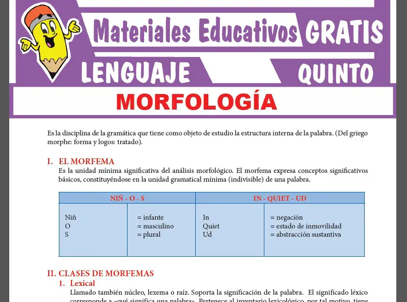 Morfología: significado en biología y gramática explicados 2 morfologia significado en biologia y gramatica