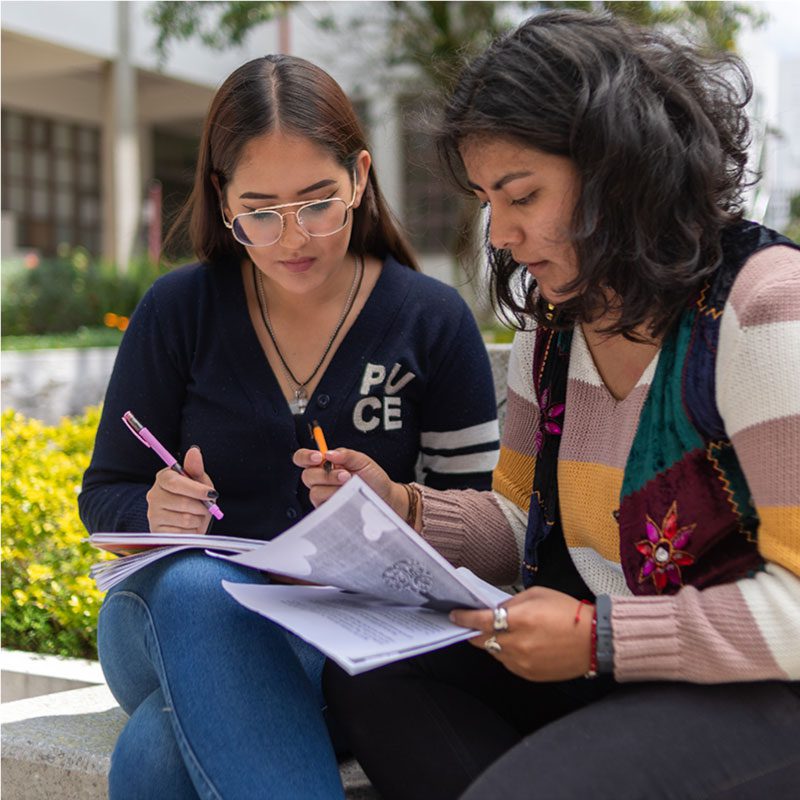 Multiplica tu éxito académico con tutorías y acompañamiento 8 multiplica tu exito academico con tutorias y acompanamiento