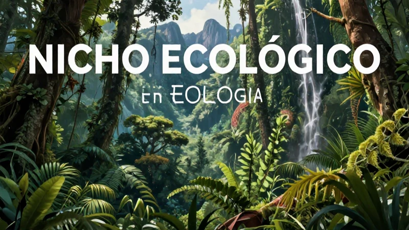 Diferencia entre hábitat y nichos ecológicos
