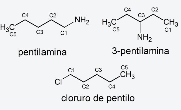 nomenclatura que es origenes y concepto