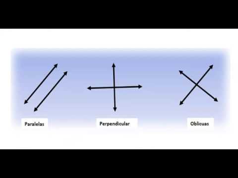 oblicuas definicion caracteristicas y concepto clave 1