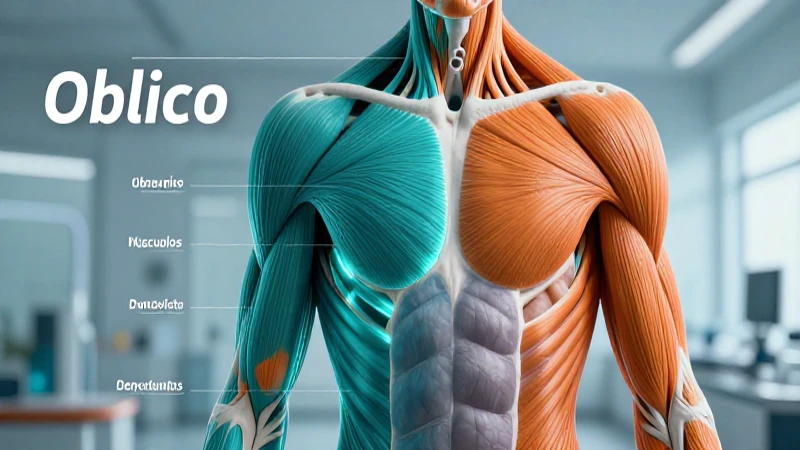 Oblicuo: Definición, Concepto y Características Clave 3 Músculos oblicuos: definición, funciones y anatomía