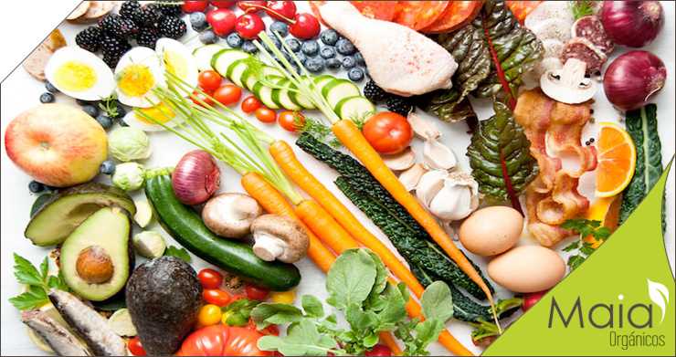Omnívoro: Definición y concepto de esta dieta alimenticia 2 omnivoro definicion y concepto de esta dieta alimenticia