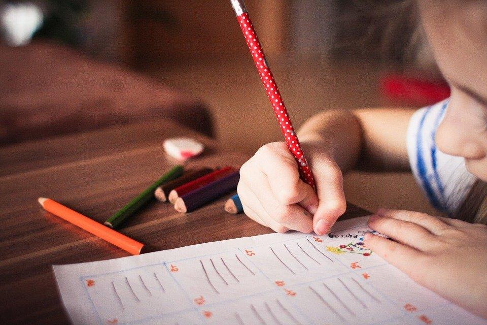 optimiza el aprendizaje de primaria con el numero adecuado de libros