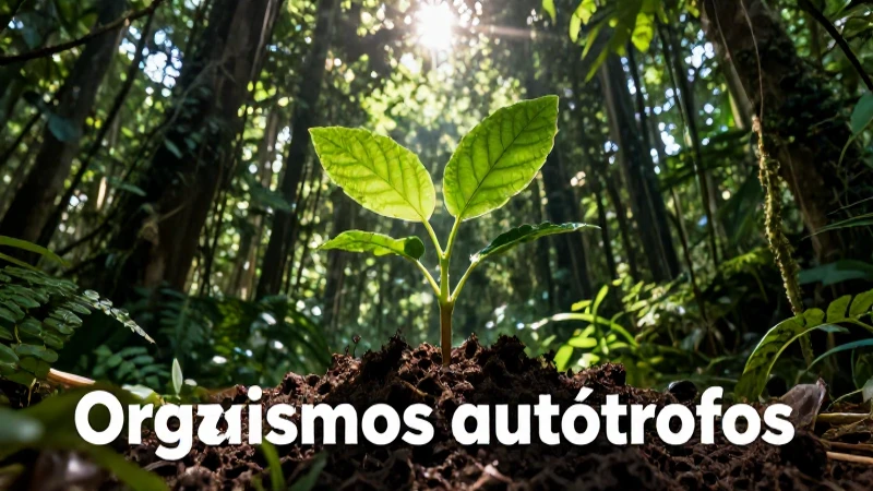 Plantas autótrofas en ecosistemas vibrantes