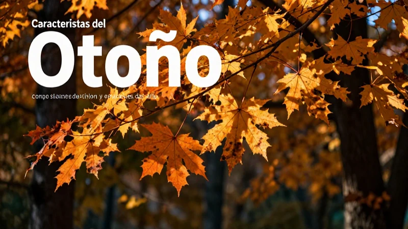 Otoño: Concepto, características y estaciones del año 3 Otoño detallado, vibrante y de colores cálidos