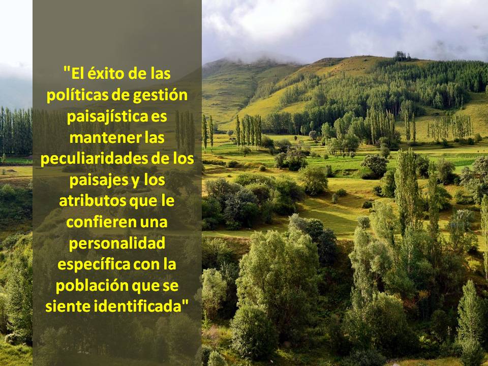 Paisaje natural: concepto, elementos y características clave 2 paisaje natural concepto elementos y caracteristicas clave 1