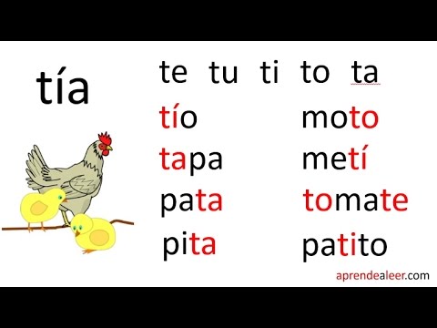 palabras con d y t dictado y ejercicios para aprender 4